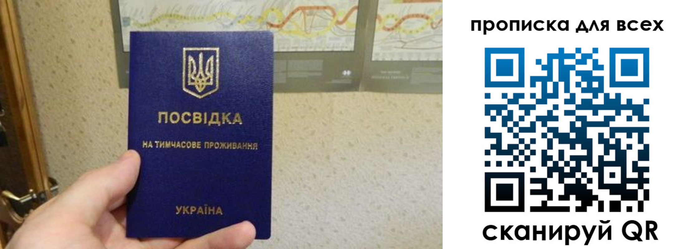 прописка для школы в Сочи